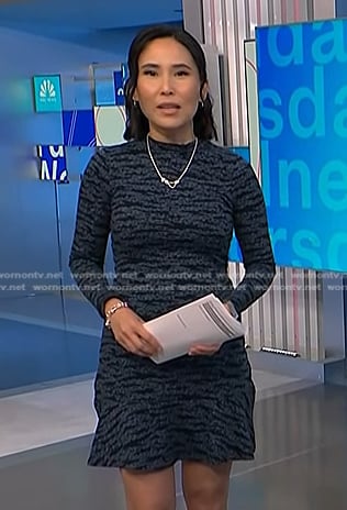 Vicky’s blue tiger print dress on NBC News Daily