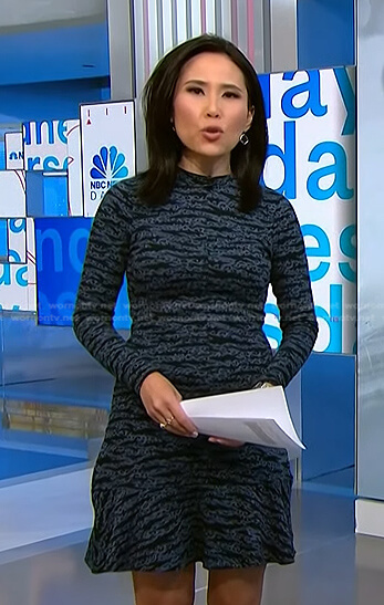 Vicky’s blue tiger print dress on NBC News Daily