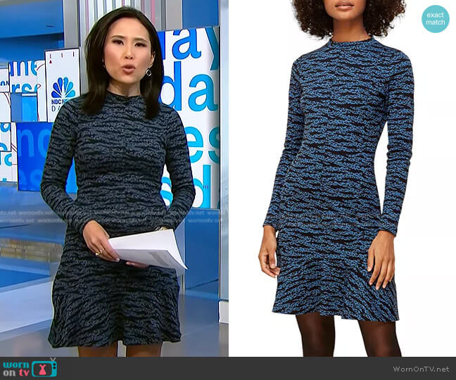 Whistles Animal Print Flounce Dress worn by Vicky Nguyen on NBC News Daily