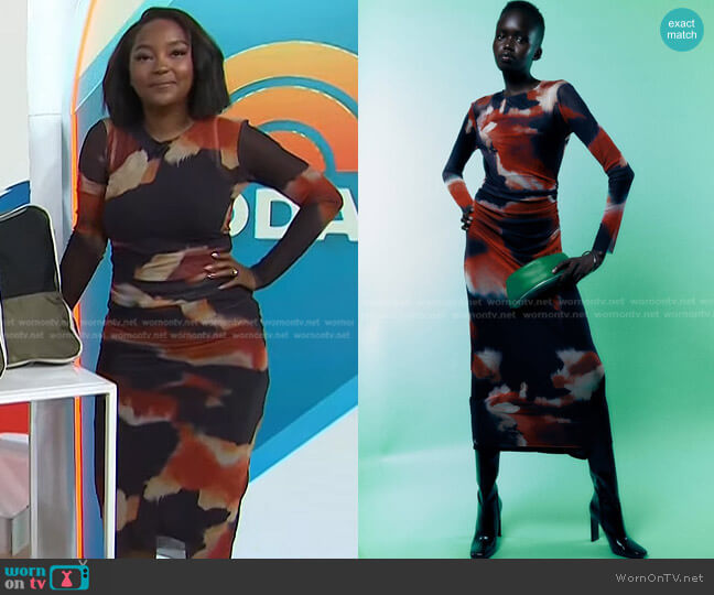 Zara Printed Tulle Dress worn by Makho Ndlovu on Today