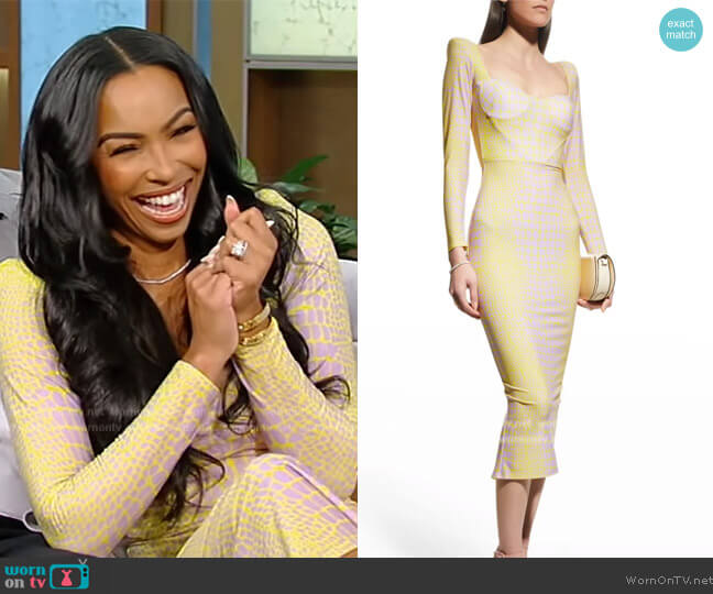 Alex Perry Lennon Cocktail Dress worn by Aja Crowder on Tamron Hall Show