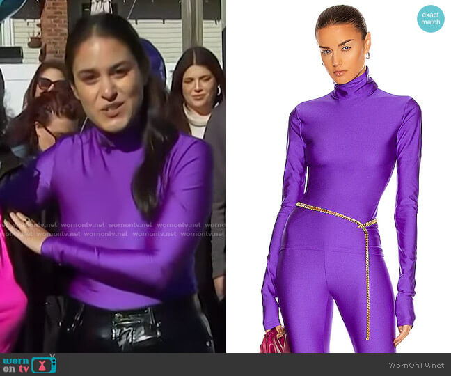 Andamane Halle Turtleneck Top worn by Donna Farizan on Today