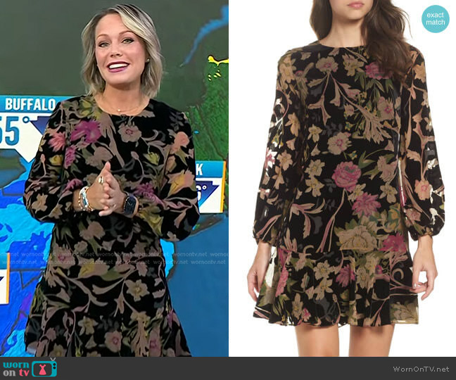 Eliza J Floral Print Velvet Shift Dress worn by Dylan Dreyer on Today