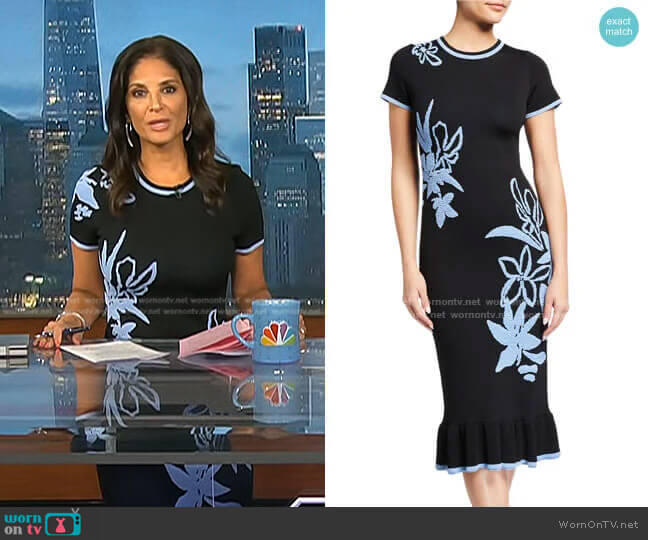 Shoshanna Leah Floral Jacquard Short-Sleeve Dress worn by Darlene Rodriguez on Today