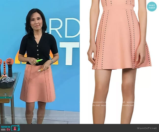 Sandro Eglantine Knit A-Line Skirt worn by Vicky Nguyen on Today