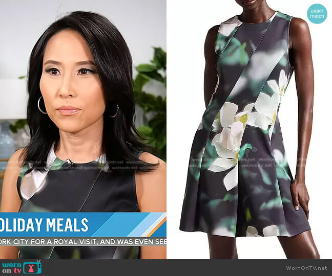 Ted Baker Maggnie Floral Print Neoprene Skater Dress worn by Vicky Nguyen on Today
