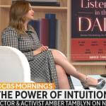 Amber Tamblyn’s grey checked shirtdress on CBS Mornings