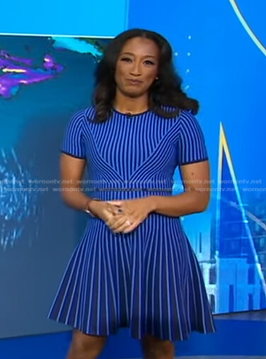Brittany’s blue striped dress on Good Morning America
