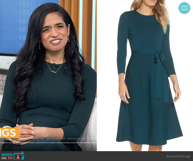 Eliza J Fit & Flare Sweater Dress in Spruce worn by Maya Shankar on CBS Mornings