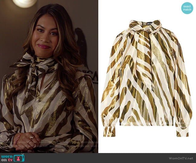 Haney Lame Blouse