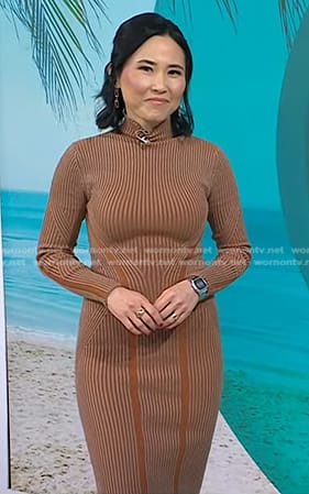 Vicky’s brown ribbed mock neck dress on Today
