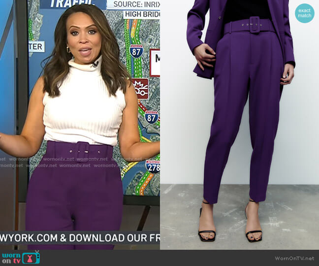 Zara Pants with Fabric Covered Belt worn by Adelle Caballero on Today