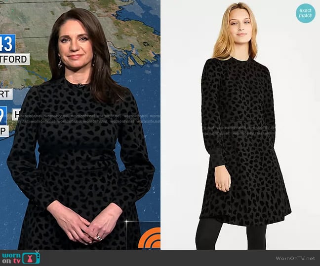 Ann Taylor Heart Velvet Mock Neck Flare Dress worn by Maria Larosa on Today