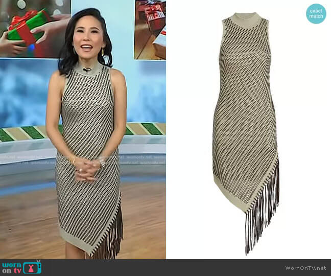 Jonathan Simkhai Chelle Pointelle Asymmetrical Dress in Marsh Olive worn by Vicky Nguyen on Today