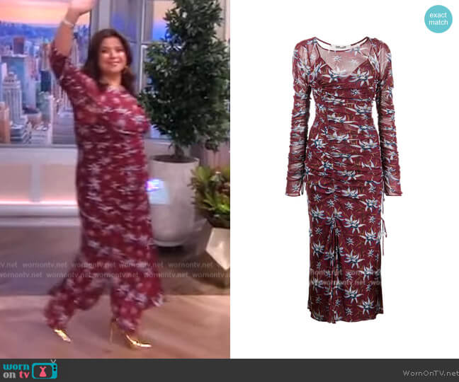 Diane von Furstengerg Corinne floral-print dress worn by Ana Navarro on The View