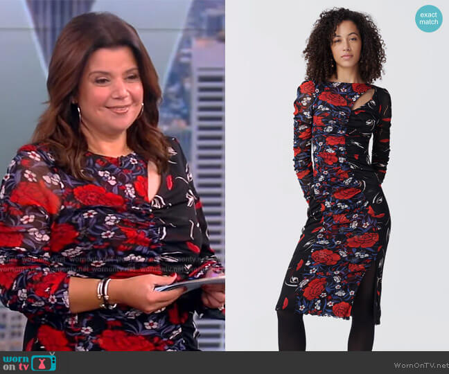 Diane von Furstenberg Devanna Midi Mesh Dress worn by Ana Navarro on The View
