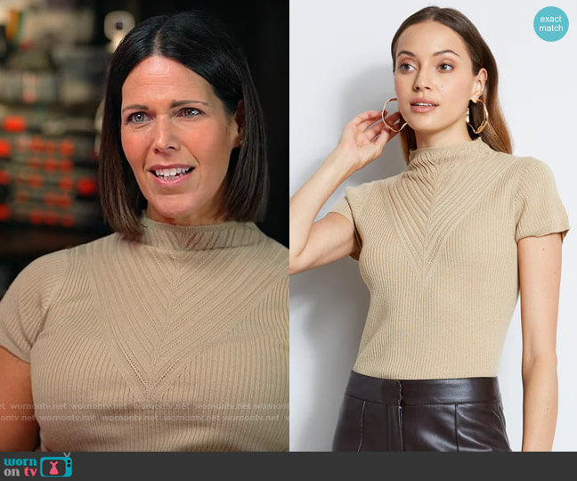 Elie Tahari Detail Short Sleeve Turtleneck Sweater in Camel worn by Dana Jacobson on CBS Mornings