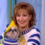 Joy’s blue Christmas sweater on The View