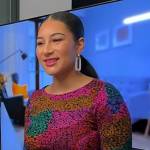 Morgan’s multicolor animal print dress on Today