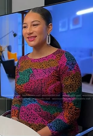 Morgan’s multicolor animal print dress on Today