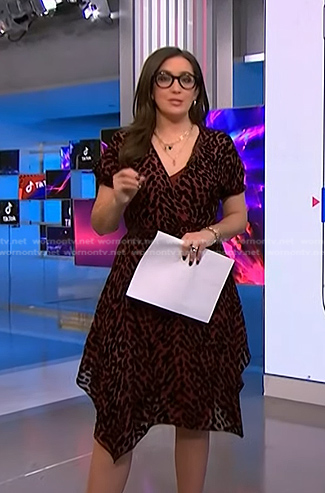 Savannah’s brown animal print dress on NBC News