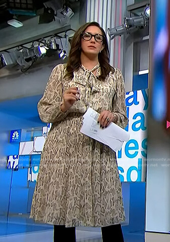 Savannah’s snake print tie neck dress on NBC News