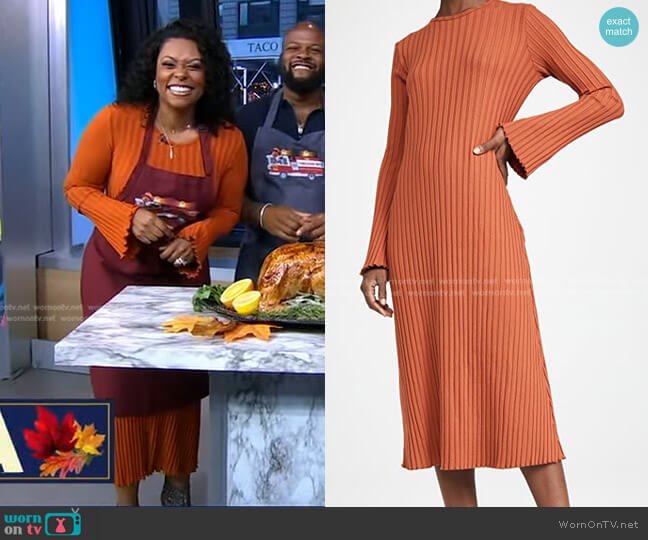 Simon Miller Rib Wells Long Sleeve Dress in Sepia Brown worn by Jamika Pessoa on Good Morning America