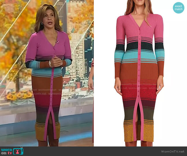 Staud Shoko Sweater in Mosaic Stripe worn by Hoda Kotb on Today