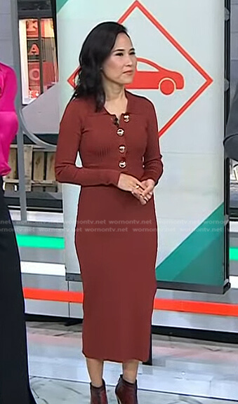 Vicky’s brown ribbed polo dress on Today