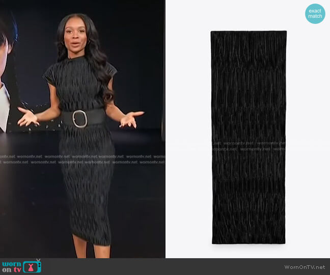 Zara Pleated Midi Skirt in Black worn by Zuri Hall on Access Hollywood