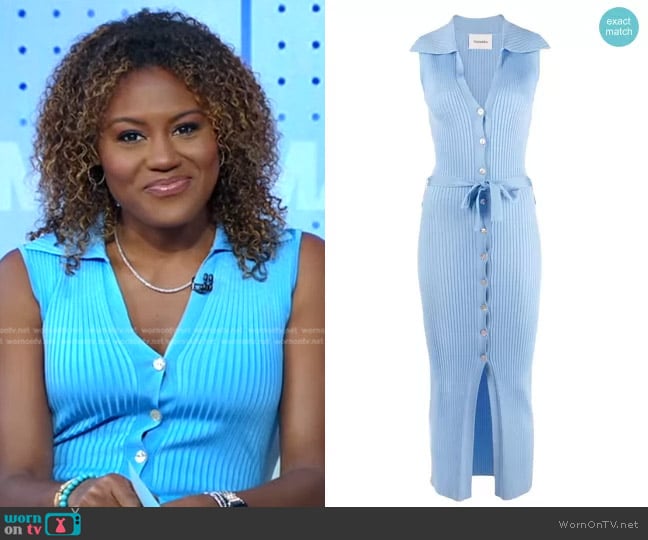 Nanushka Sleeveless Ribbed-Knit Dress worn by Janai Norman on Good Morning America