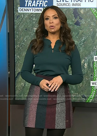 Adelle’s metallic striped skirt on Today