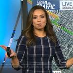 Adelle’s navy plaid dress on Today