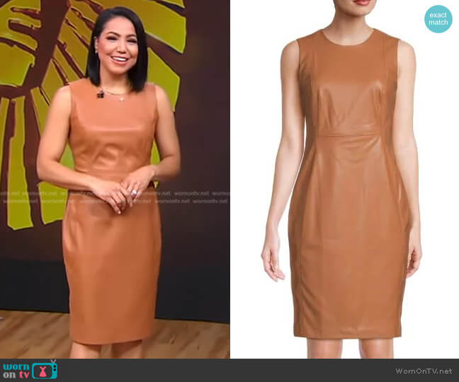 Calvin Klein Sleeveless Pencil Dress worn by Stephanie Ramos on Good Morning America