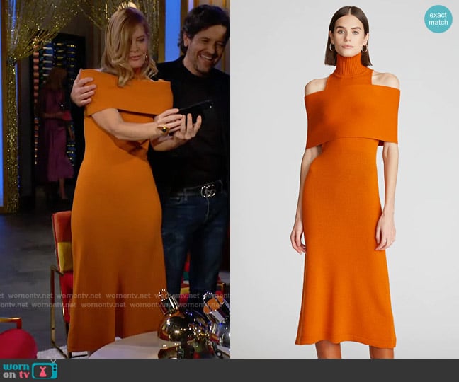 Halston Ensley Dress worn by Phyllis Summers (Michelle Stafford) on The Young and the Restless