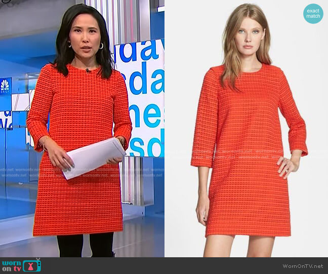 Kate Spade Ashby Embroidered Shift Dress worn by Vicky Nguyen on NBC News Daily