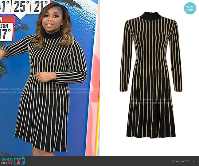 Rachel Roy Vertical Stripe Knit Dress worn by Somara Theodore on Today