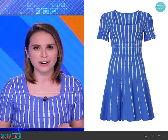Shoshanna Arcadia Dress worn by Elizabeth Schulze on Good Morning America