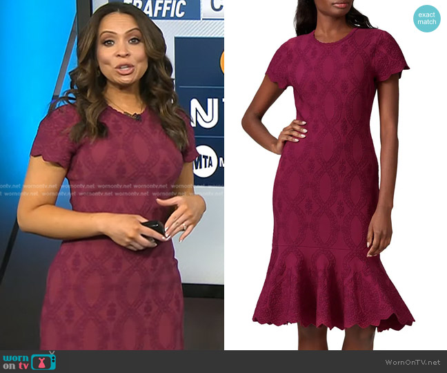 Shoshanna Preston Flounce Dress worn by Adelle Caballero on Today