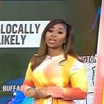 Somara Theodore’s orange printed tie waist dress on Today