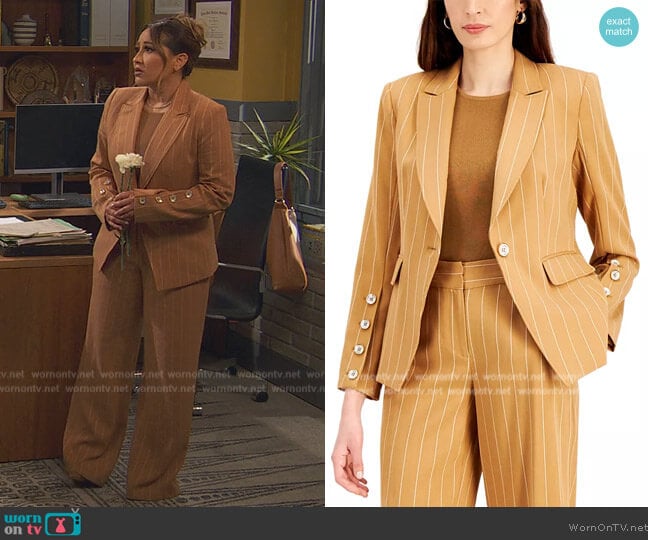 Pinstripe Button-Sleeve Blazer Tahari ASL worn by Alana (Adrienne Bailon) on Ravens Home
