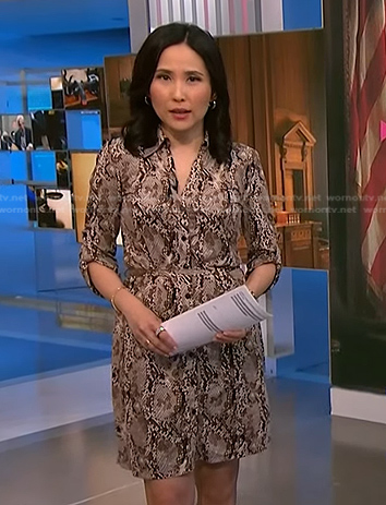 Vicky’s snake print shirtdress on NBC News Daily