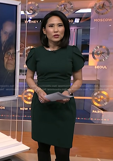 Vicky’s green short sleeve dress on NBC News Daily