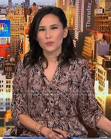 Vicky’s snake print shirtdress on NBC News Daily