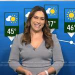 Violeta Yas’s grey peplum dress on NBC News Daily