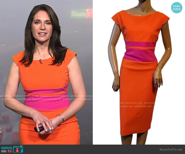 Chiara Boni La Petite Robe Sumatra Colorblock-Waist Sheath Dress worn by Maria Larosa on Today
