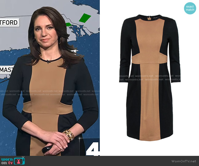 Nanette Lepore Paneled Three-Quarter Sleeve Sheath Dress worn by Maria Larosa on Today