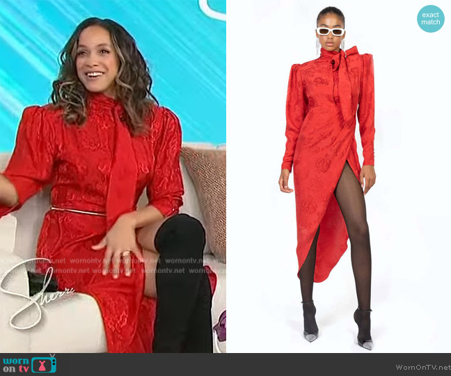 Ronny Kobo Tati Dress worn by Dana Ramirez on Sherri