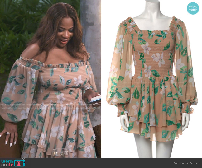 Caroline Constas Floral Print Mini Dress worn by Charrisse Jackson-Jordan on The Real Housewives of Potomac