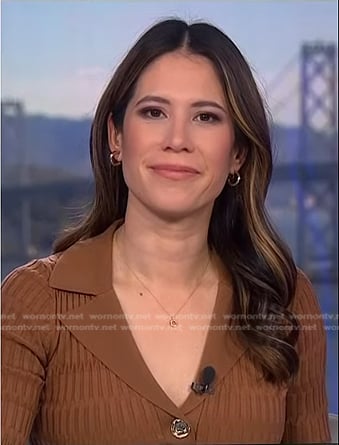 Deirdre Bosa’s brown ribbed top on NBC News Daily